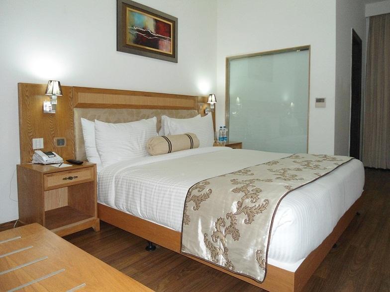 Comfort Inn Anneha 新德里 客房 照片